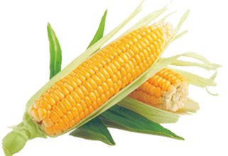 corn