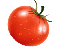 tomato